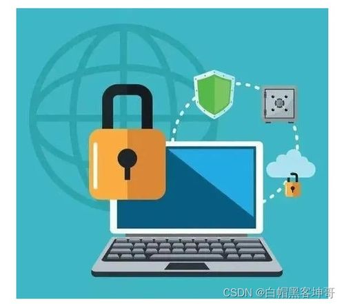 網(wǎng)絡(luò)安全專家核心技能與必備工具指南